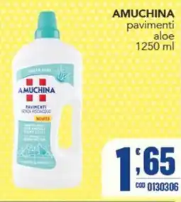 Gruppo di Palo Amuchina pavimenti aloe offerta