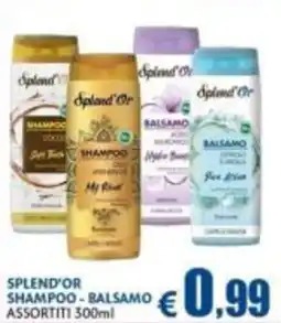 Casa & Co Splend'Or shampoo - balsamo offerta
