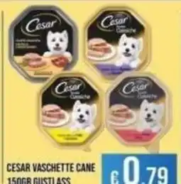 Azzurro Convenienza Cesar vaschetta cane offerta