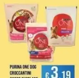 Azzurro Convenienza Purina One Dog Croccantini offerta