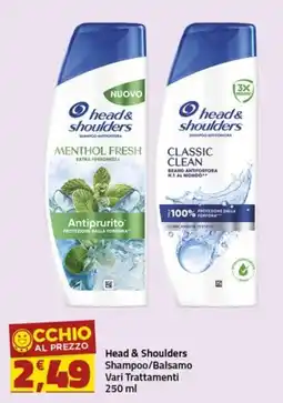Supermercati Briò Head & Shoulders Shampoo/Balsamo offerta