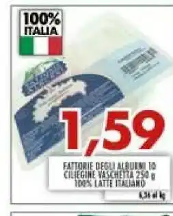 Provola