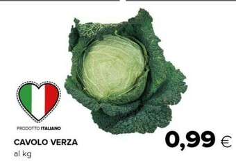 Cavolo verza