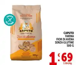 Deco Market Caputo farina fior di avena senza glutine offerta
