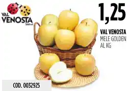 Carico Cash & Carry Val Venosta mele golden offerta