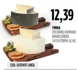 Carico Cash & Carry Pinna pecorino romano bianco/nero offerta