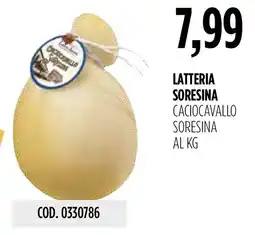 Carico Cash & Carry Caciocavallo Soresina offerta