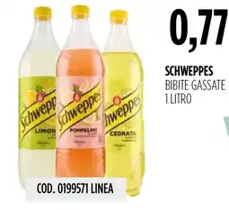 Carico Cash & Carry Schweppes bibite gassate offerta
