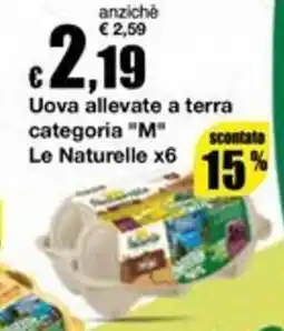 Sì con te Superstore Uova allevate a terra categoria "M" Le Naturelle offerta