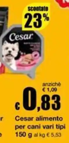 Sì con te Superstore Cesar alimento per cani offerta