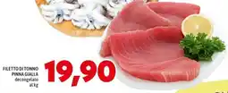MEGA Filetto di tonno pinna gialla offerta