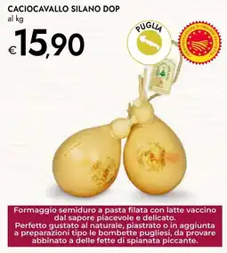 Bennet Caciocavallo Silano DOP offerta