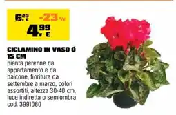 OBI Ciclamino in vaso offerta