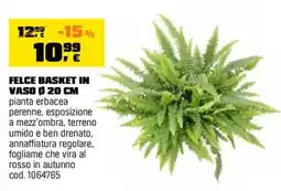OBI Felce basket in vaso offerta
