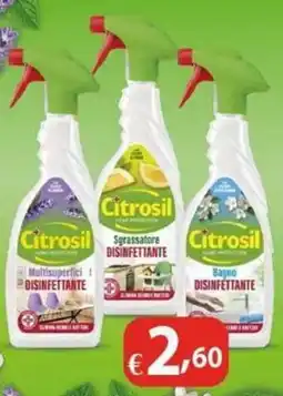 Bernava Citrosil Multisuperfici Disinfettante offerta