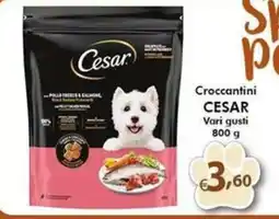Bernava Croccantini CESAR offerta