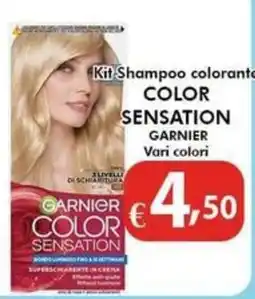 Bernava Kit Shampoo colorante Color Sensation Garnier offerta
