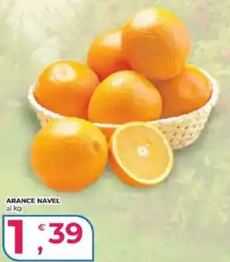 Alter Discount Arance Navel offerta