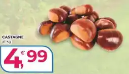 Alter Discount Castagne offerta
