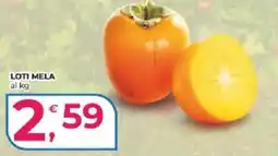 Alter Discount Loti mela offerta