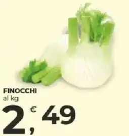 Alter Discount Finocchi offerta