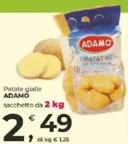 Alter Discount Patate gialle ADAMO offerta