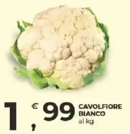 Alter Discount Cavolfiore bianco offerta