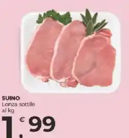 Alter Discount Lonza sottile offerta