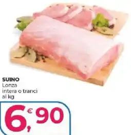 Alter Discount Lonza offerta