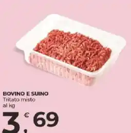 Alter Discount Tritato misto offerta
