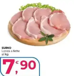 Alter Discount Lonza a fette offerta