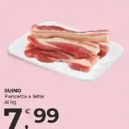 Alter Discount Pancetta a fette offerta