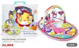 Toys Center Palestrina Attività offerta