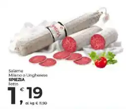 Alter Discount Salame Milano o Ungherese Spiezìa offerta