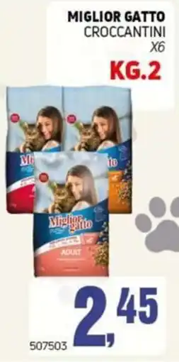 Migro Miglior gatto croccantini offerta
