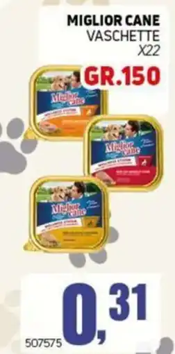 Migro Miglior cane vaschette offerta
