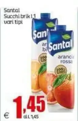 Elite Santal succhi brik offerta