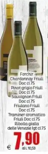 Elite Forchir offerta