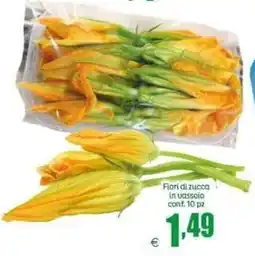 Elite Fiori di zucca offerta