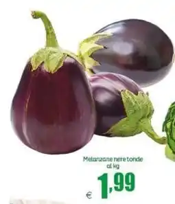 Elite Melanzane nere tonde offerta