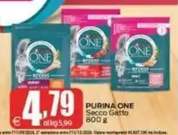Elite Purina One Secco Gatto offerta