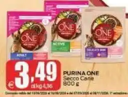 Elite Purina One Secco Cane offerta