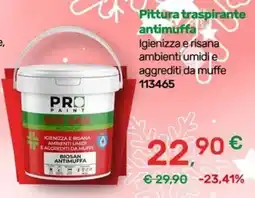 Bricoware Pro Paint Biosan antimuffa offerta