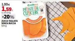 Coop Master Alleanza 3.0 Zucca tagliata senza buccia offerta