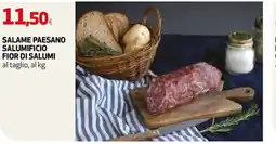 Coop Master Alleanza 3.0 Salame Paesano offerta