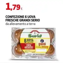 Coop Master Alleanza 3.0 Uova Fresche Serio Grandi offerta