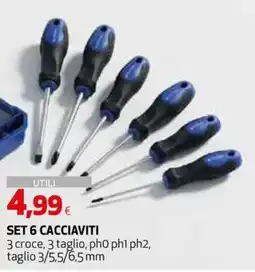Coop Master Alleanza 3.0 Set 6 cacciaviti offerta