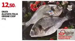 Coop Master Alleanza 3.0 Orata allevata Italia origine Coop offerta