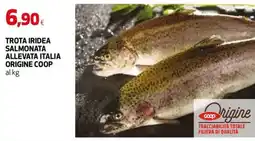 Coop Master Alleanza 3.0 Trota iridea salmonata offerta