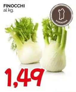 Hardis Finocchi offerta